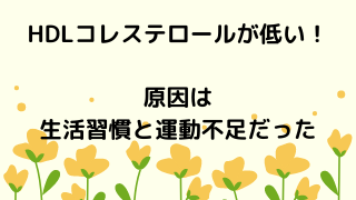 岡山市北区で脂質異常症を治療 糖尿病内科 内科山下クリニック